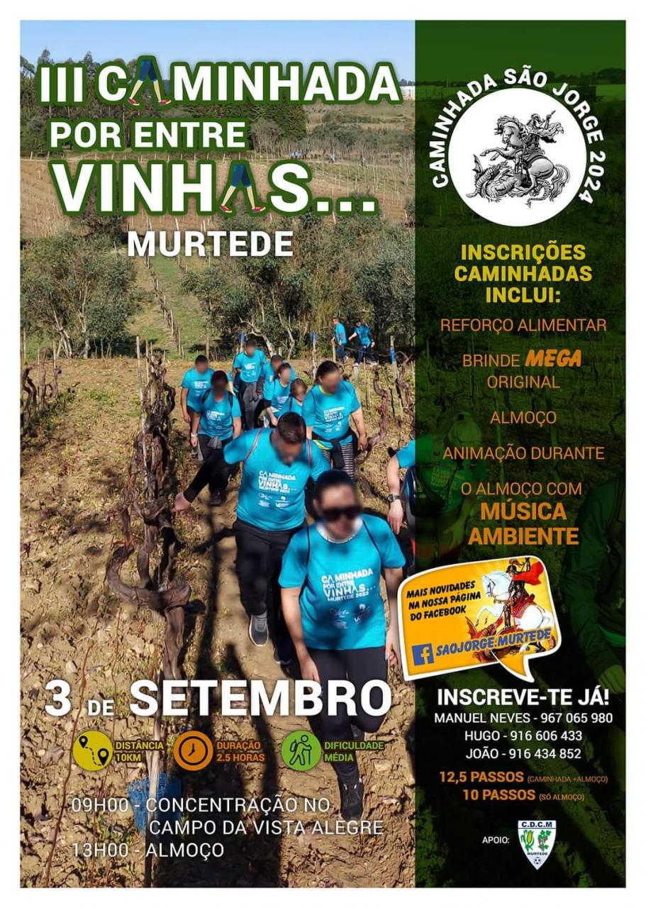 III Caminha Entre as Vinhas